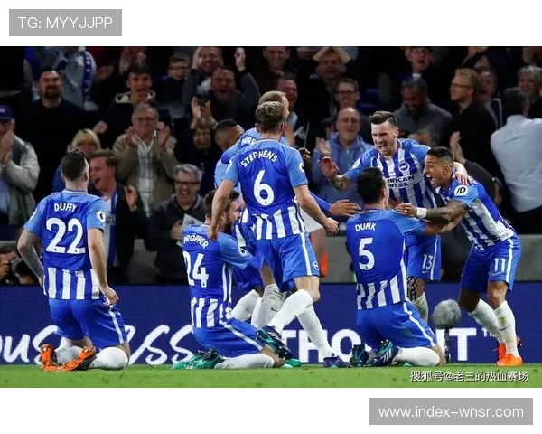 布莱顿中游位置无欲无求 主场仍能给强队制造麻烦 布莱顿中游位置无欲无求 主场仍能给强队制造麻烦